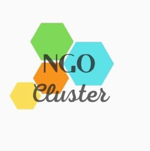 NGO-Cluster
